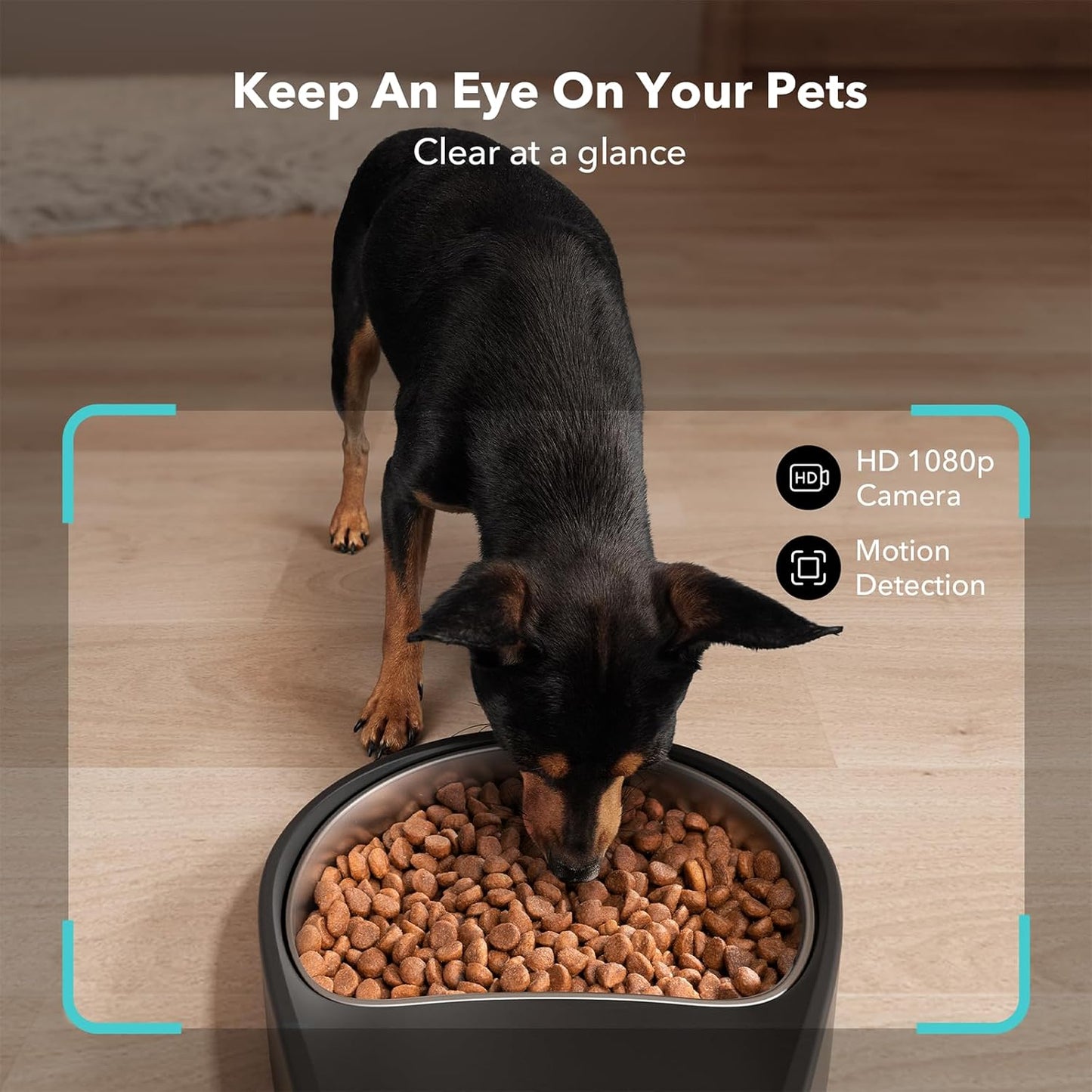 Automatic Cat Feeder with Camera, 1080P HD Video with Night Vision, 5G Wifi Pet Feeder with 2-Way Audio, Low Food & Blockage Sensor, Motion & Sound Alerts for Cat & Dog Single Tray