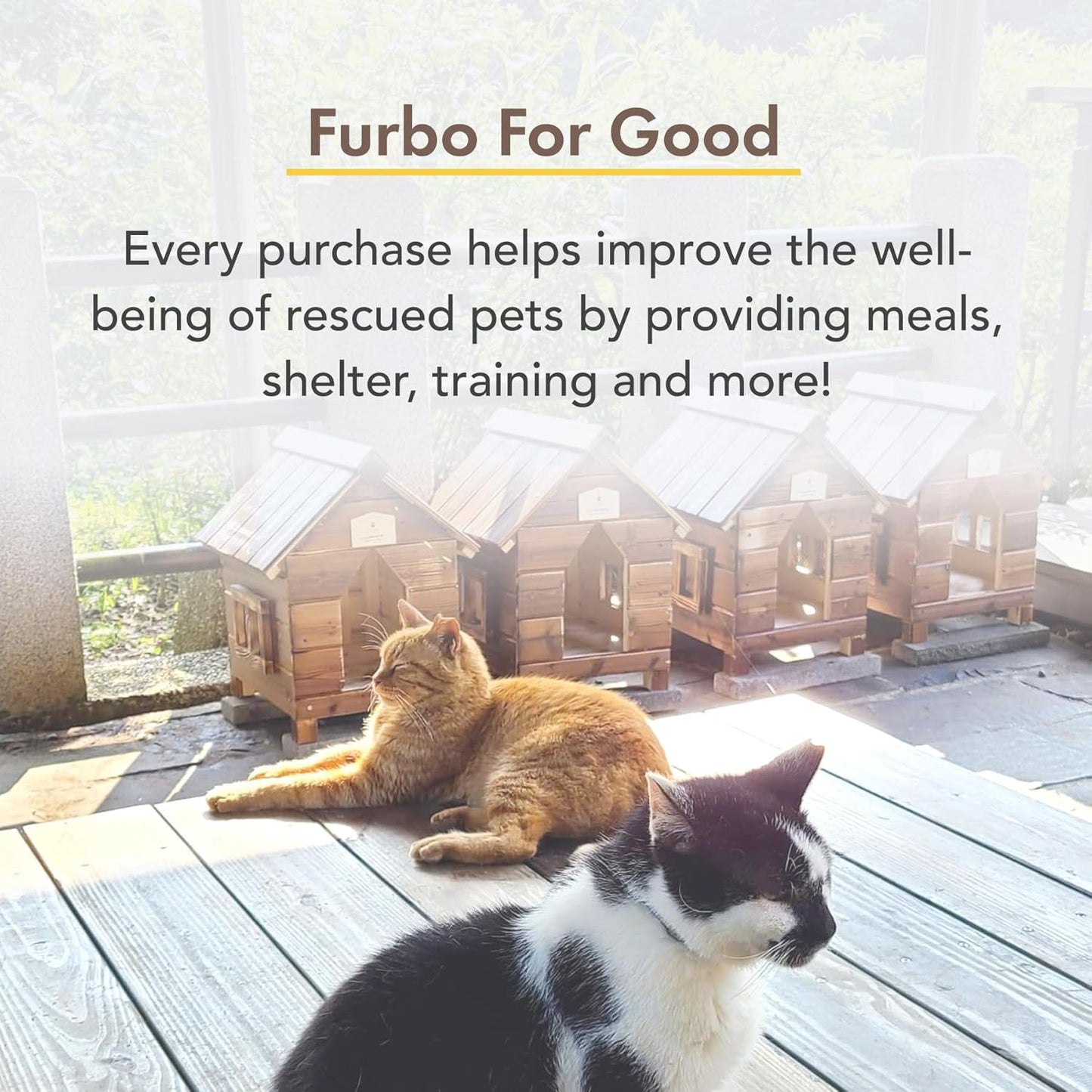 360° Cat Camera: Home Security Camera with Meowing Alerts, Rotating Pet Treat Camera with Phone App, Smart Home Indoor Kitty Cam with 2-Way Speaker and Night Vision (No Subscription Required)